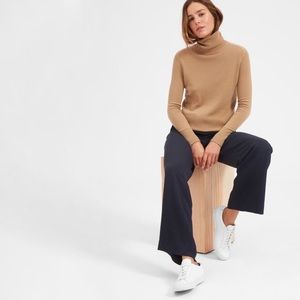 Everlane Cashmere Turtleneck Sweater in Camel